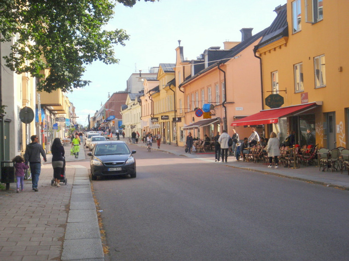 Uppsala street near the Fyriån River.